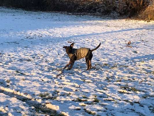 Handy-Foto-Challange Nr.9-Beitrag-Bild