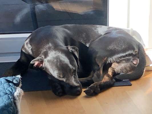 Farben Fotochallenge Sonnenlicht-Beitrag-Bild