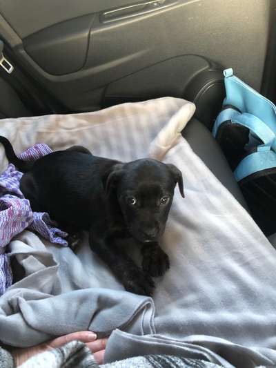 Fotochallenge 101:
On Tour-Beitrag-Bild