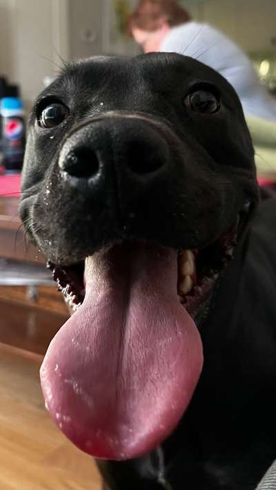 18. Collagen Challenge - Zunge raus!-Beitrag-Bild