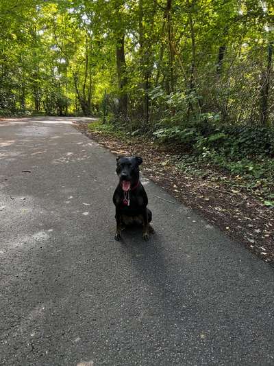 18. Collagen Challenge - Zunge raus!-Beitrag-Bild