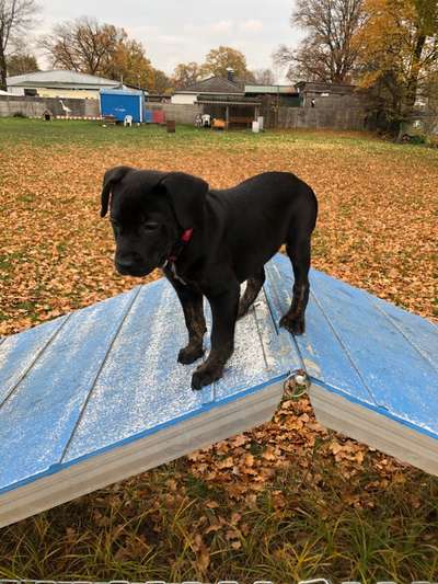 64. Handy Foto Challenge - Hoch hinaus-Beitrag-Bild