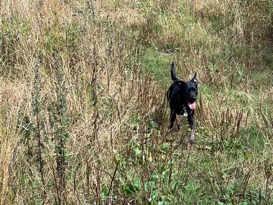 45. Collage Challenge - Lieblingsurlaubs/ Ausflugsziele-Beitrag-Bild