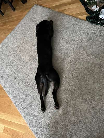 53. Collage Challenge - Verschiedene Blickwinkel-Beitrag-Bild