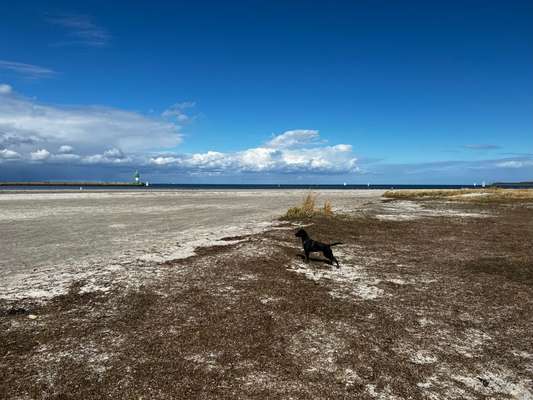 37. Collagen Challenge- Am Strand-Beitrag-Bild