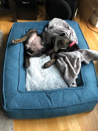 Die unbequemsten und lustigsten Schlafpositionen-Beitrag-Bild