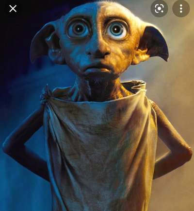 Dogorama Photo Challenge - TV Hund-Beitrag-Bild