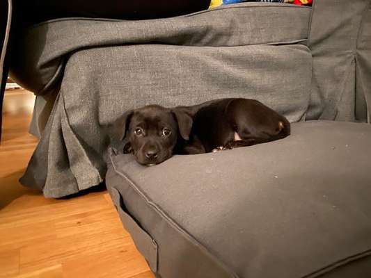 Fotochallange Nummer 5-Beitrag-Bild