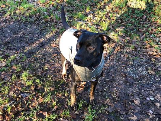 30. Collagen Challenge - Wege/Straßen-Beitrag-Bild