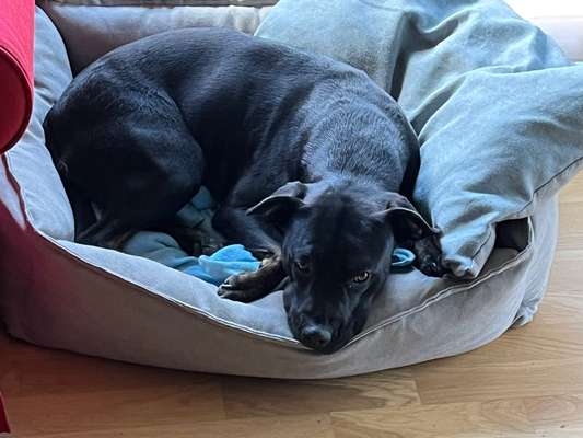 17. Farben Foto Challenge: Pastellfarben-Beitrag-Bild