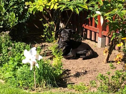 41. Handy Fotochallenge - Euer gemeinsames Hobby-Beitrag-Bild