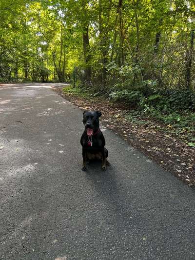 30. Collagen Challenge - Wege/Straßen-Beitrag-Bild