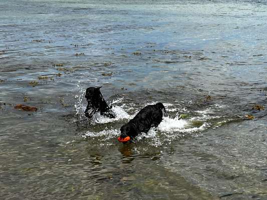 45. Collage Challenge - Lieblingsurlaubs/ Ausflugsziele-Beitrag-Bild