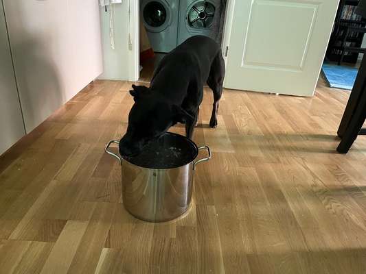 29. Farben Foto Challenge -
Silber glänzend.-Beitrag-Bild