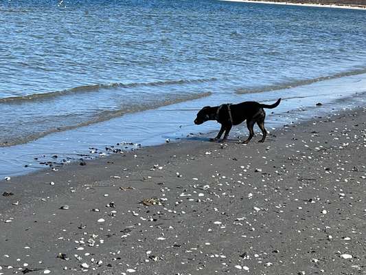 45. Collage Challenge - Lieblingsurlaubs/ Ausflugsziele-Beitrag-Bild