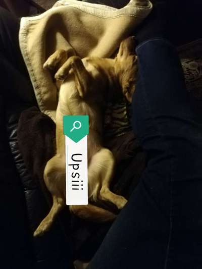 Die unbequemsten und lustigsten Schlafpositionen-Beitrag-Bild