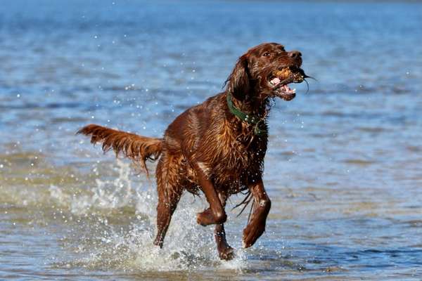 Fotochallenge 27-Beitrag-Bild