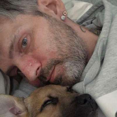 Hundetreffen-Spazierengehen-Bild