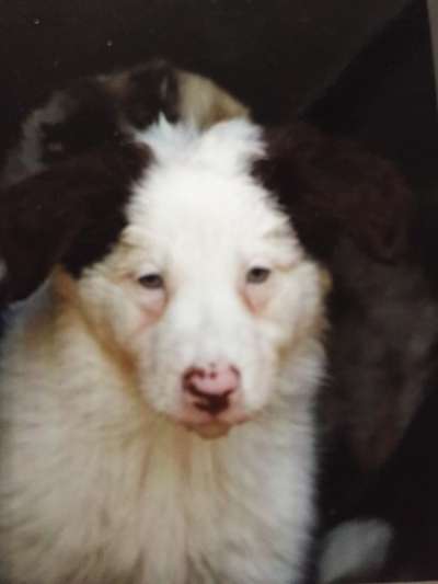 Vorher.... Nachher-Beitrag-Bild