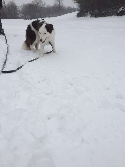 Vorher.... Nachher-Beitrag-Bild