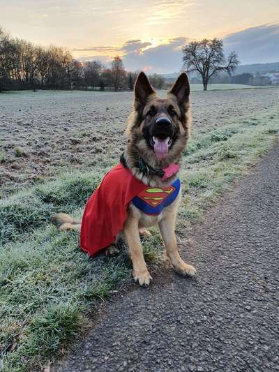 Fotochallenge Nr. 29 - Accessoires-Beitrag-Bild