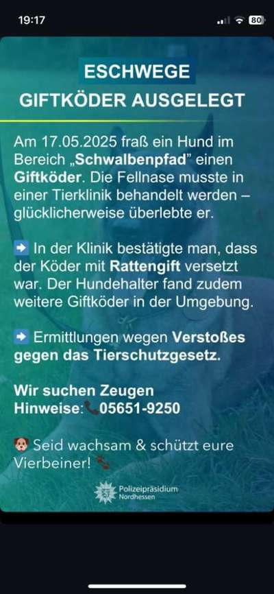 Giftköder-Warnung! Giftköder-Bild