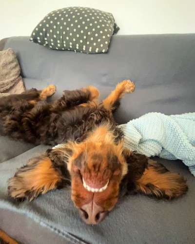 Foto Challenge Nr. 134-Beitrag-Bild