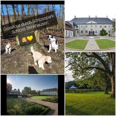 Hundetreffen-Treffen zur Gassi Runde(:after work🐾💚🥾-Schloss Benkhausen-Bild