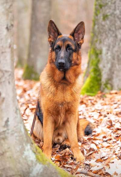 Fotochallenge Nr. 67: Euer Lieblingsbild-Beitrag-Bild