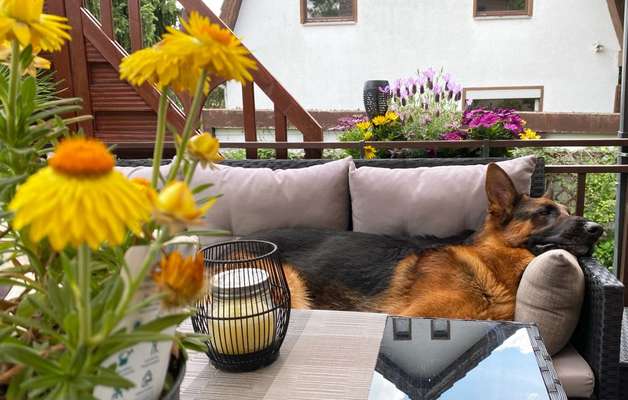 FOTO-Challenge  NR. 91: Die pure Entspannung-Beitrag-Bild