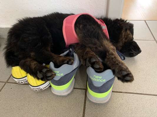 Die unbequemsten und lustigsten Schlafpositionen-Beitrag-Bild