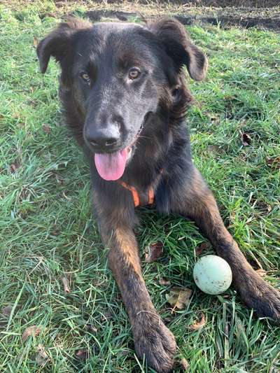 Foto Challenge die Vierte-Beitrag-Bild