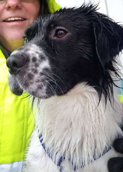 Dogorama Photo Challenge - Portrait-Beitrag-Bild