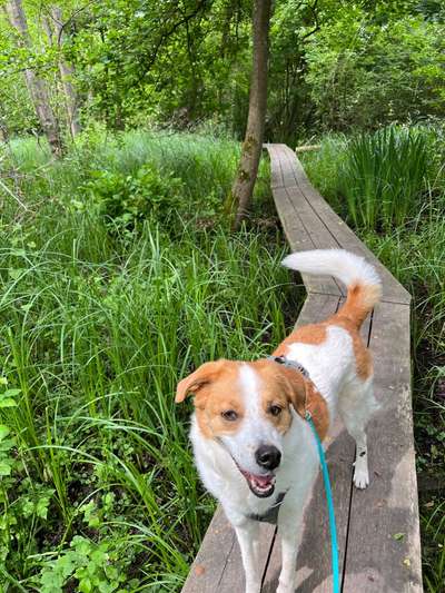 Doppelgänger gesucht !-Beitrag-Bild