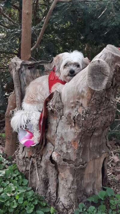 Foto Challenge Nr. 79-Beitrag-Bild