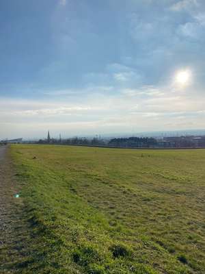 Hundeauslaufgebiet-Hellerblick-Bild