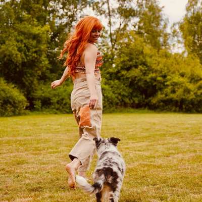 Hundetreffen-Welpentreffen in Herford-Bild