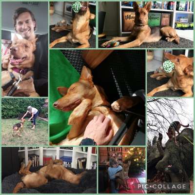 22. Collagen Challenge- Lebensfreude-Beitrag-Bild