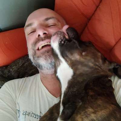 Hundetreffen-Kennenlernen der Hunde und schauen wie es läuft 🙂