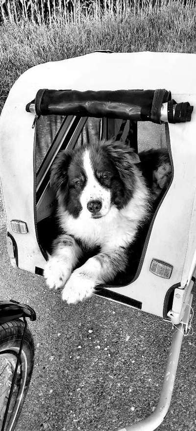 Foto-Challenge 76: Foto in Schwarz-Weiss-Beitrag-Bild