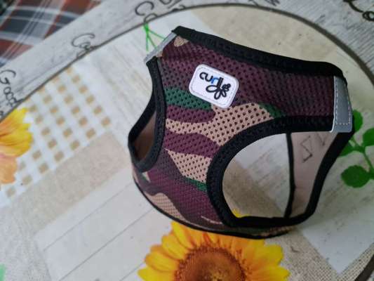 Ich bin auf der suche nach einen gebrachtrn hunde geschirr xs,s-Beitrag-Bild