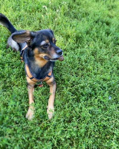 Fotowettbewerb Natur-Beitrag-Bild