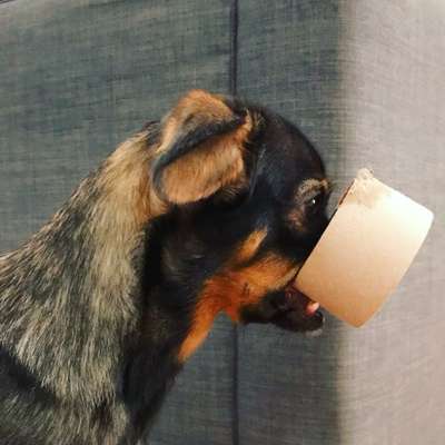 Fotowettbewerb Natur-Beitrag-Bild