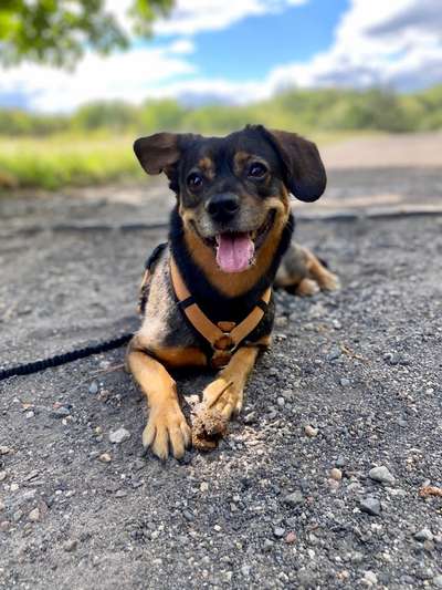 Fotochallenge No. 26                                     Wald und Wiese-Beitrag-Bild