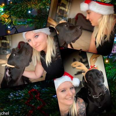 8. Collagen Challenge - Feste/Feierlichkeiten-Beitrag-Bild