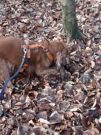 Fotochallenge Nr. 67: Euer Lieblingsbild-Beitrag-Bild