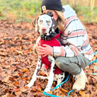 Hundetreffen-🐾 Junghundetreff in Bonn 🐾