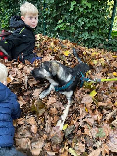 Herbst Bilder-Beitrag-Bild