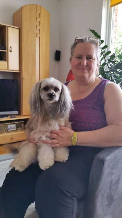 PBGV und Chinese Crested-Beitrag-Bild