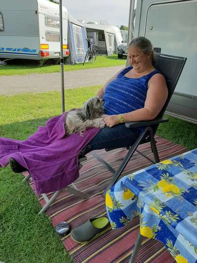 Die Dogorama Wochen Challenge: “Dein Hund im Urlaub”-Beitrag-Bild